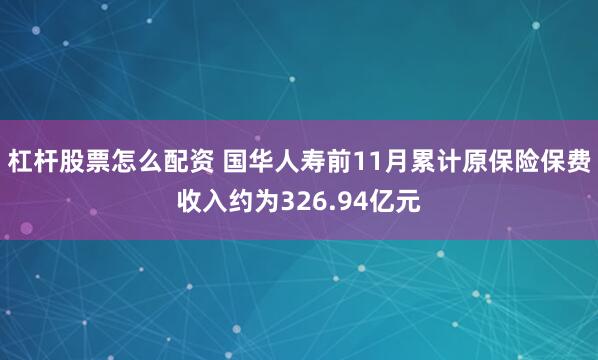 杠杆股票怎么配资 国华人寿前11月累计原保险保费收入约为326.94亿元