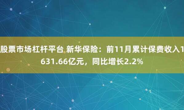 股票市场杠杆平台 新华保险：前11月累计保费收入1631.66亿元，同比增长2.2%