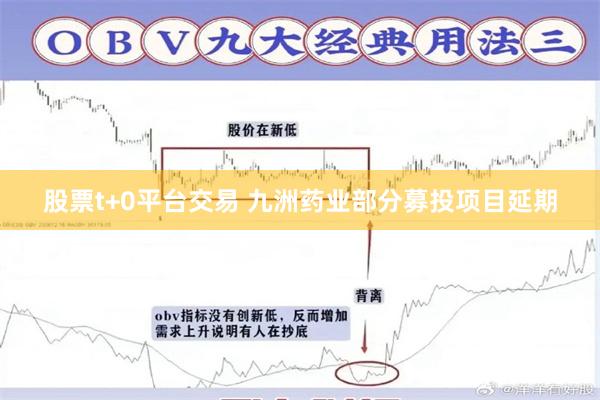 股票t+0平台交易 九洲药业部分募投项目延期