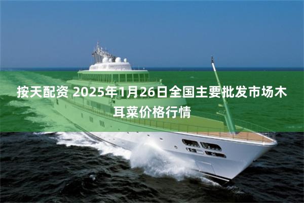 按天配资 2025年1月26日全国主要批发市场木耳菜价格行情