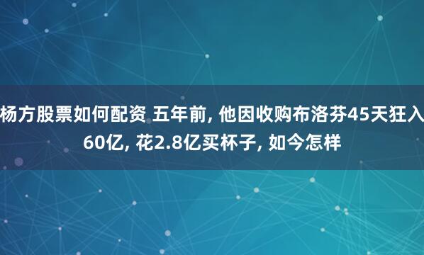 杨方股票如何配资 五年前, 他因收购布洛芬45天狂入60亿, 花2.8亿买杯子, 如今怎样