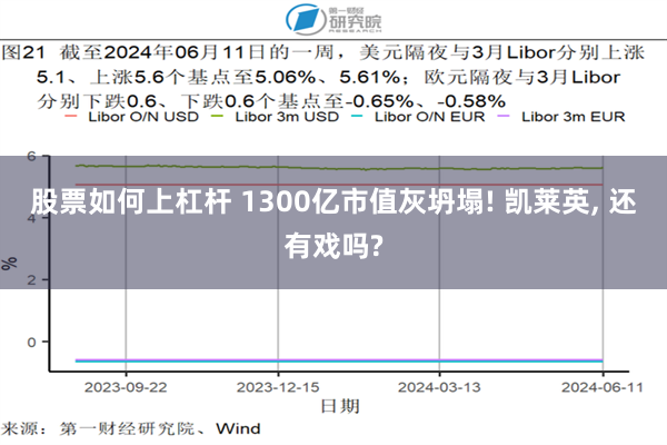 股票如何上杠杆 1300亿市值灰坍塌! 凯莱英, 还有戏吗?