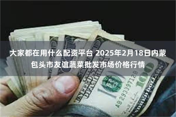 大家都在用什么配资平台 2025年2月18日内蒙包头市友谊蔬菜批发市场价格行情