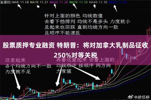 股票质押专业融资 特朗普：将对加拿大乳制品征收250%对等关税